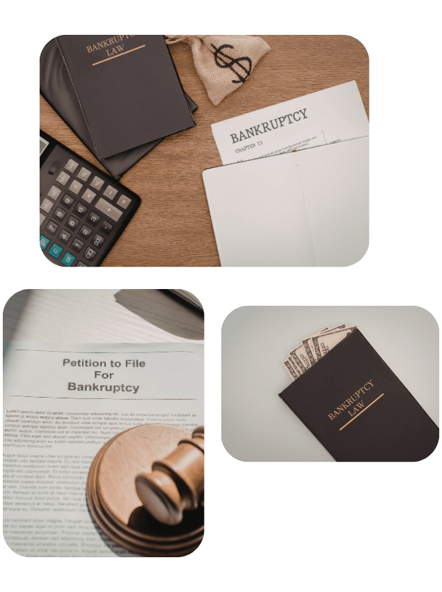 Certified Translation for Bankruptcy Proceedings