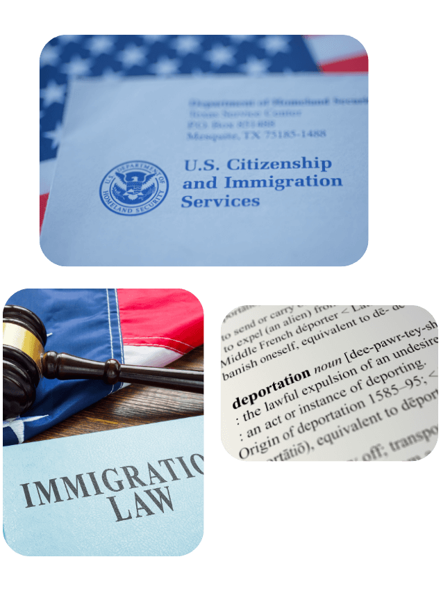 Certified Translation for Deportation Defense